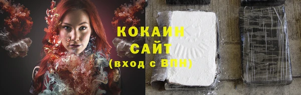 трава Гусь-Хрустальный