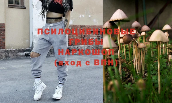 первитин Дмитров