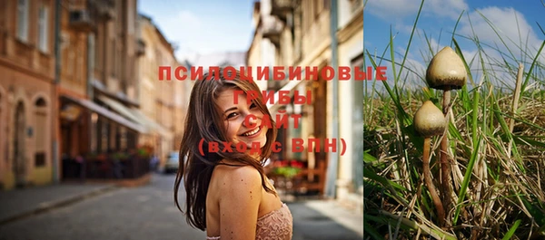 мяу мяу мука Гусев