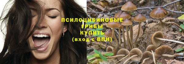 мяу мяу мука Гусев
