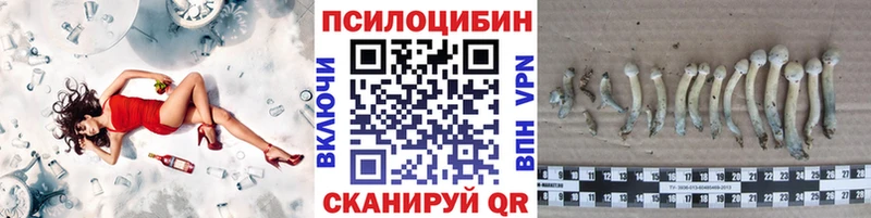 где можно купить   Подольск  Галлюциногенные грибы мицелий 