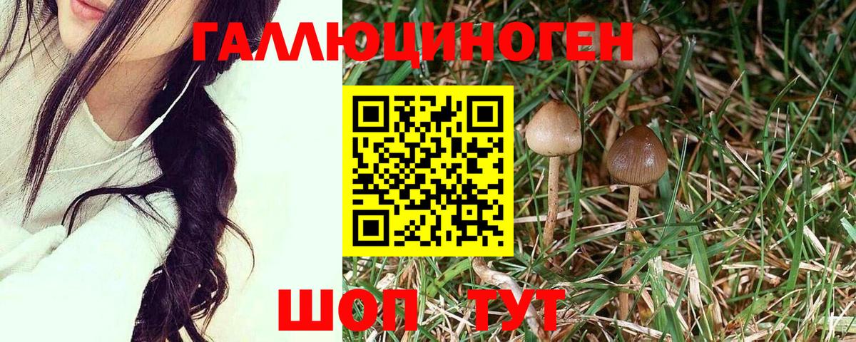 где продают наркотики  Вход с VPN  Подольск  Галлюциногенные грибы мицелий  Галлюциногенные грибы мухоморы 